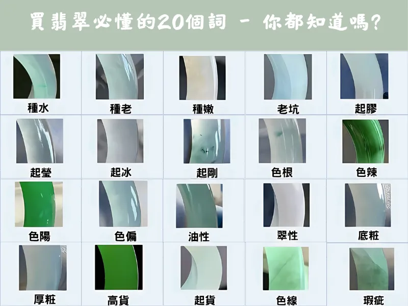 翡翠鑑定20個專業術語圖表,展示種水、色澤、瑕疵等品質評估要點,包含種老、起膠、色根、油性等翡翠術語對照。