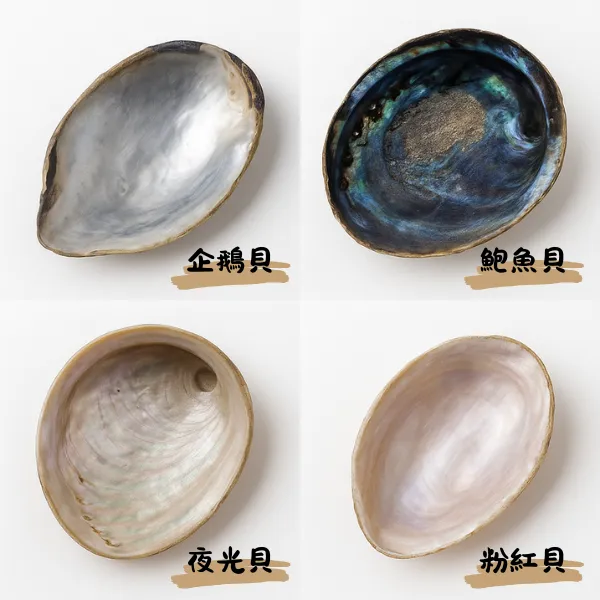 螺鈿材料：鮑魚殼、夜光蠑螺等